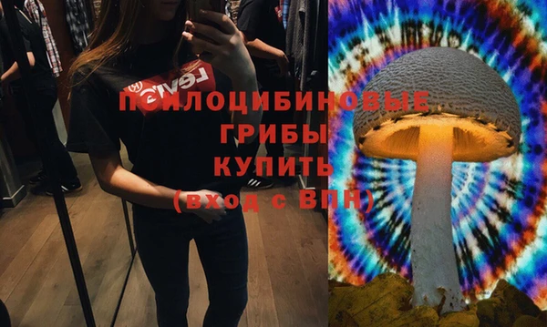 твердый Абинск