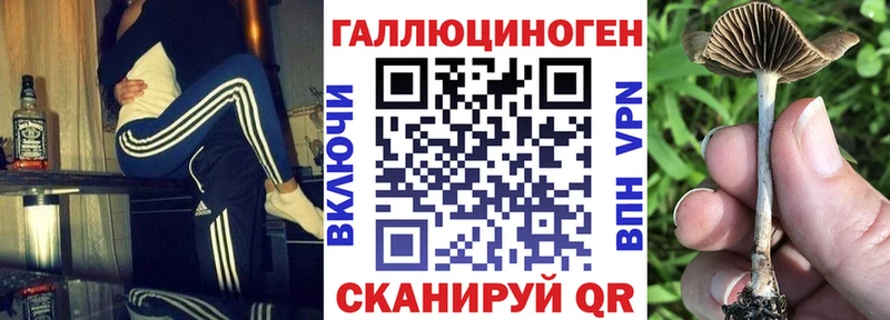 Галлюциногенные грибы мухоморы  kraken ТОР  Саратов 